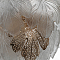 Люстра Citilux CL305150
