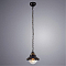 Светильник одинарный ARTE LAMP A4577SP-1CK
