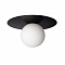 Светильник LOFT IT 10120/250C Black