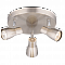 Светильник Sfera Sveta 8763-03/P202 SN